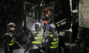 暴雪突袭：别怕！我们来救你们了！