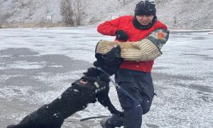警犬“胜龙”顺利毕业上岗