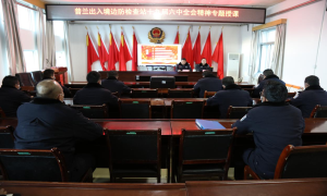 专题党课迎新年 凝心聚力再起航