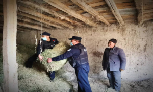 牧民贴心人 真情暖人心