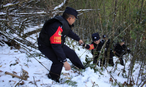 踏雪戍边守安宁