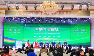 湖南举行助力乡村产业高质量发展论坛