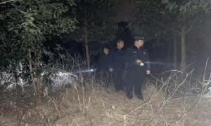 夜幕下的“守护者”