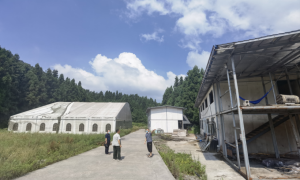 湖北利川：检察建议督促行政机关依法履职