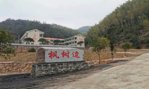 我的地盘我做主 宜居幸福枫树边