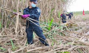 警民之情如甘蔗 一嚼一口真香甜