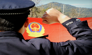 你好，警察节，我想说……