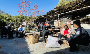 春节近了，他们这样守住群众的“钱袋子”
