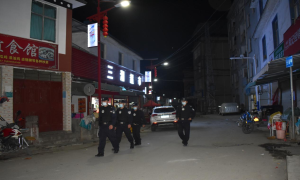 子里甲边境派出所强化夜间巡逻防控 提升边境管控力度
