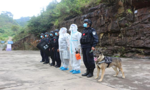 移民管理警察和他们特殊“战友们”
