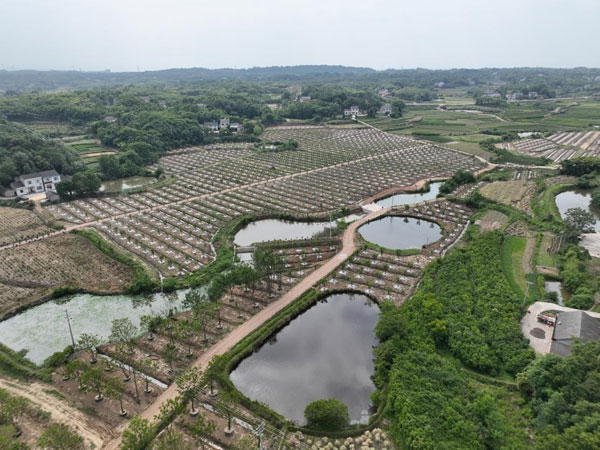xiangxian1.jpg