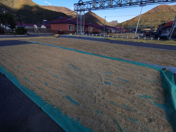changbai1.jpg