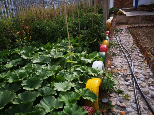 图片6.jpg 图片6.jpg