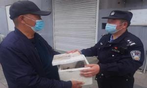 警民携手放归国家二级重点保护野生动物短耳鸮