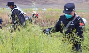 我为群众办实事 彩虹服务助秋收