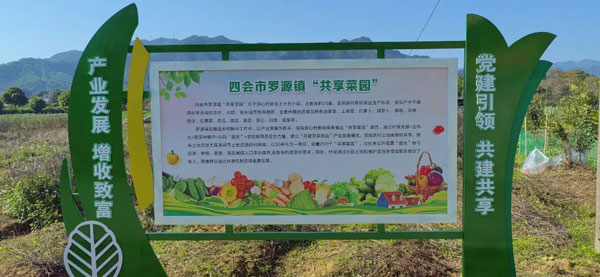 sihui5.jpg