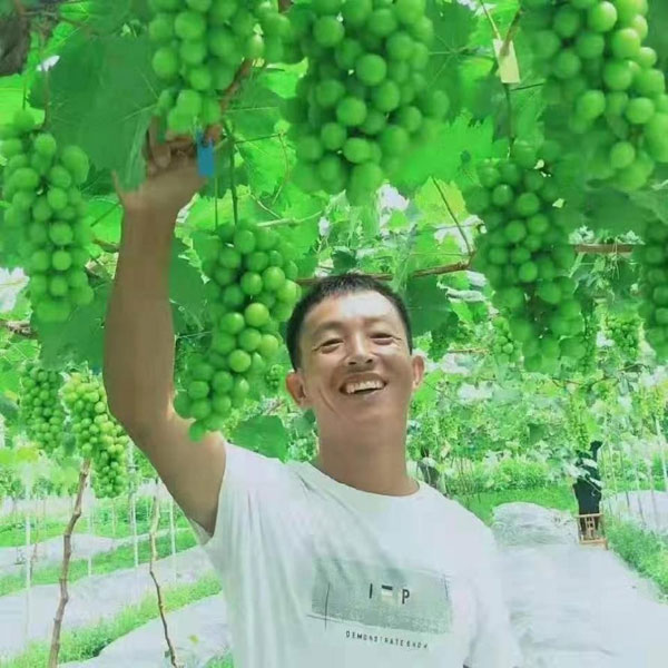 sihui8.jpg