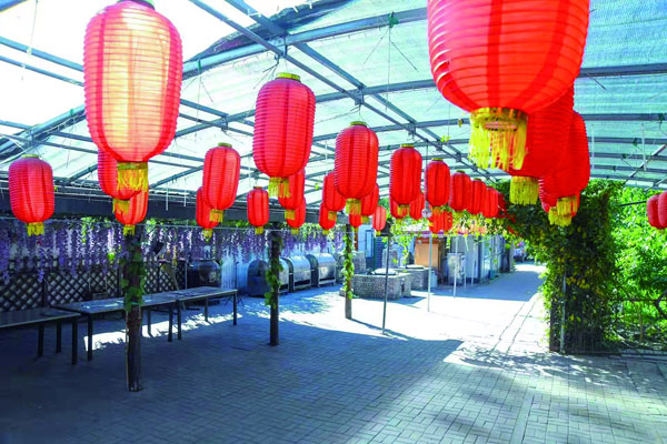 panshan7.jpg