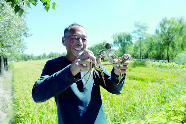 panshan5.jpg