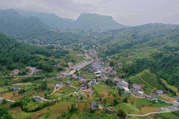 liqiao4.jpg