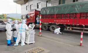 河口口岸通关建设再添“智慧助理”