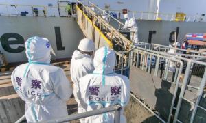 秦皇岛出入境边防检查站助力3797头进口活牛快速通关入境