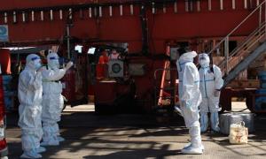 洋浦出入境边防检查站圆满完成两艘国际航行船舶船员换班工作