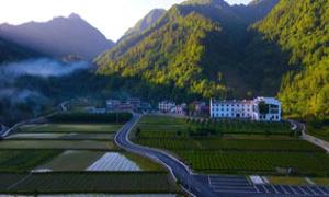 恩施市白果乡积极探索“两山”转化路径