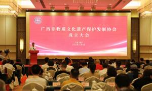 广西成立非物质文化遗产保护发展协会