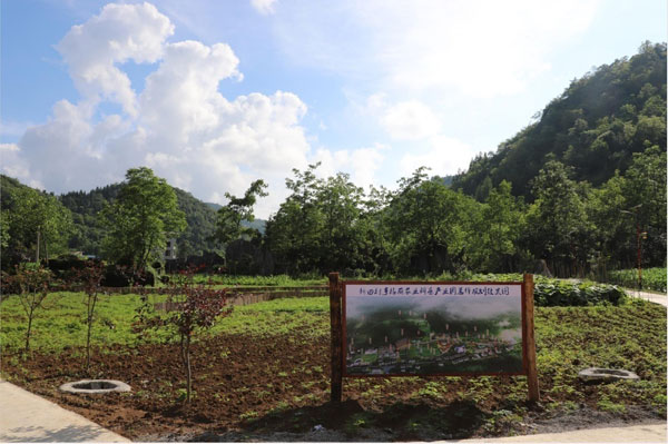 banqiao1.jpg