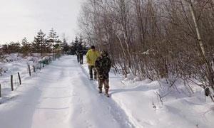“巡山清套”为野生动物撑起“保护伞”