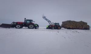呼伦贝尔八大关边境派出所救助雪地受困草车