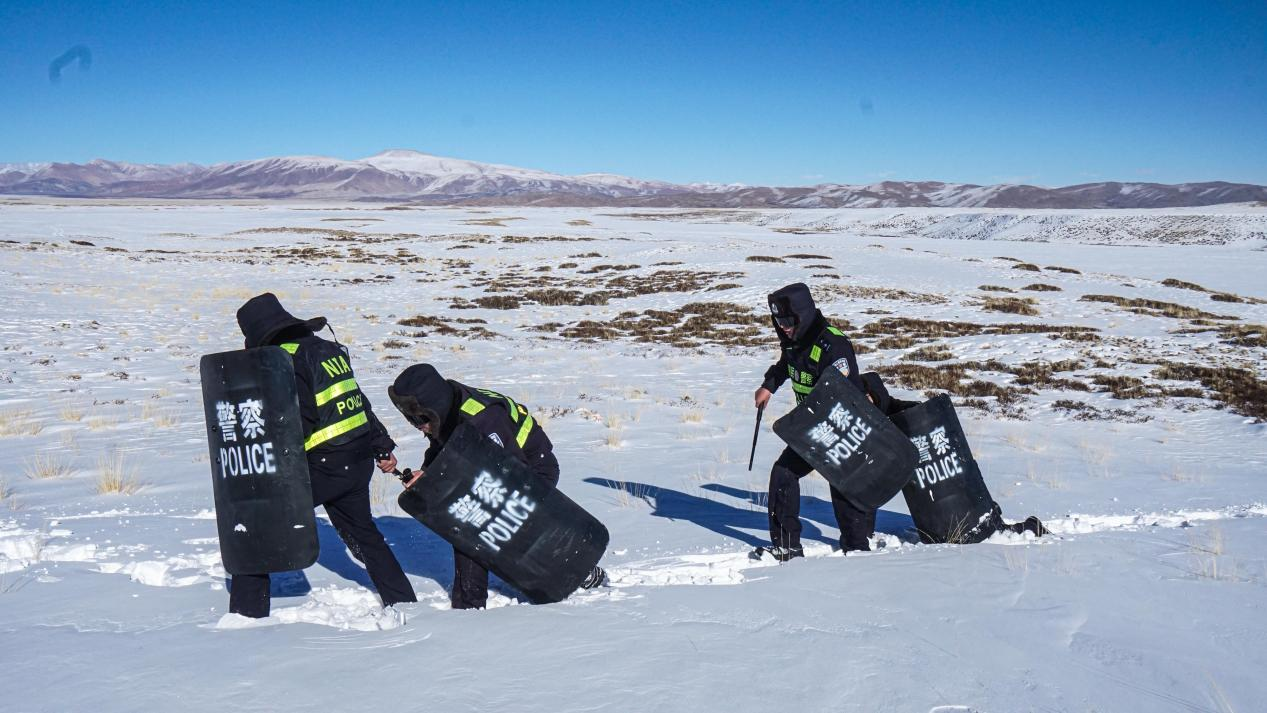 图片 1.png 图片 1.png