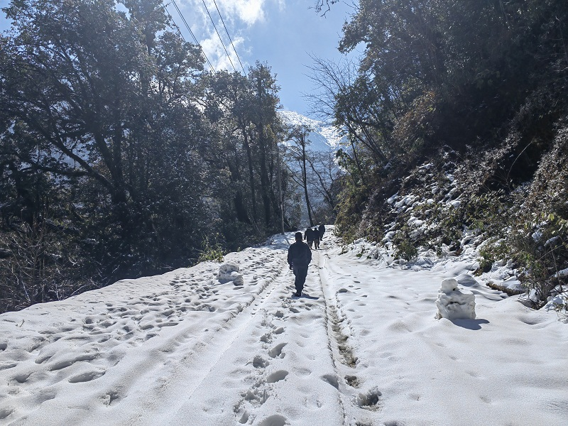 图片 3.png 图片 3.png