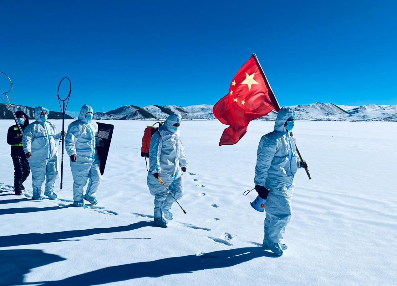 图片 3.png 图片 3.png