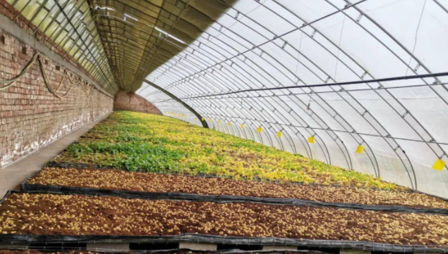 新闻2-3.png 新闻2-3.png