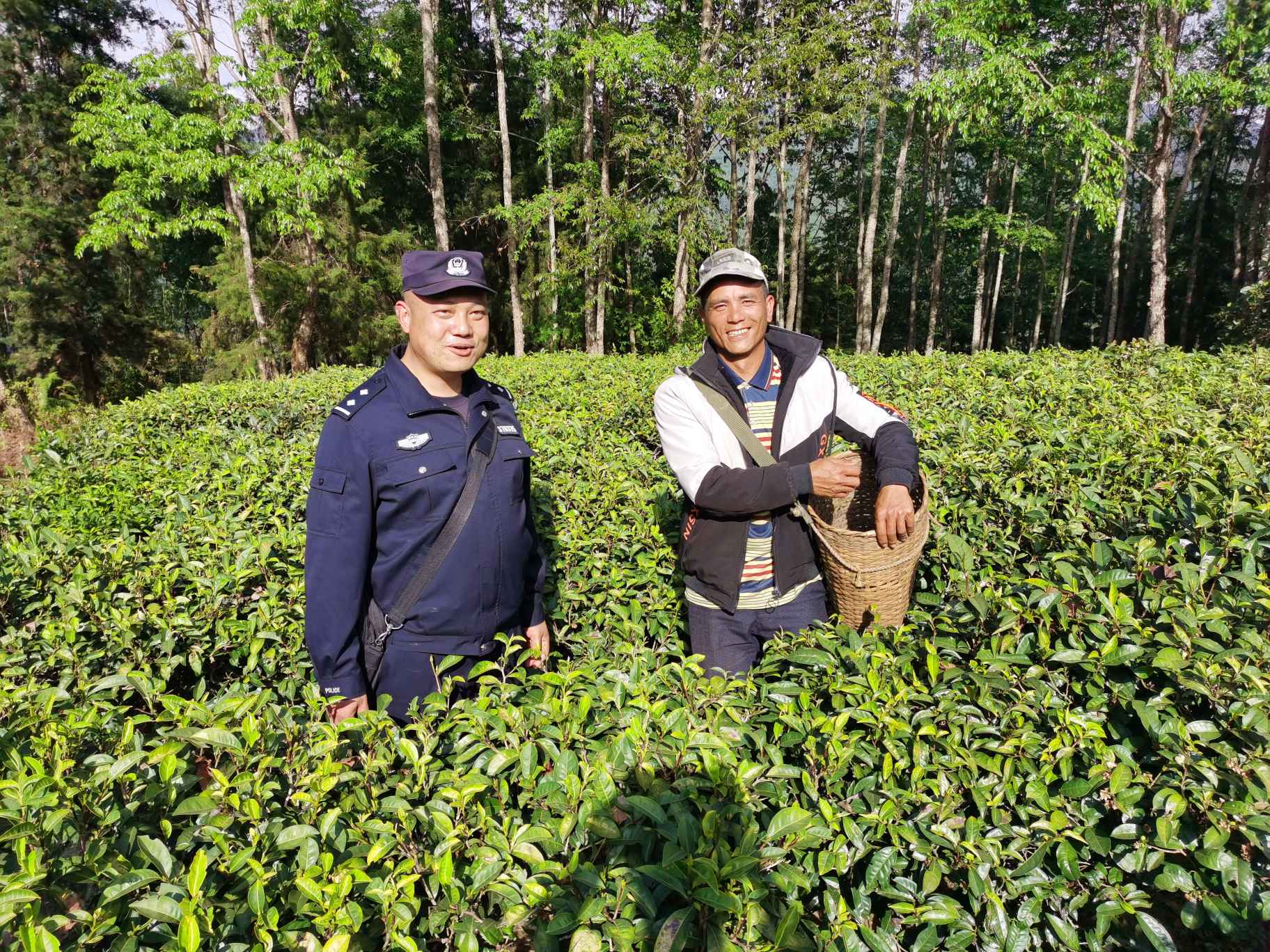 图为民警深入茶园了解群众情况.jpg 图为民警深入茶园了解群众情况.jpg