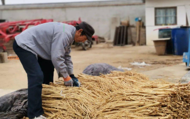 新闻2-2.png 新闻2-2.png