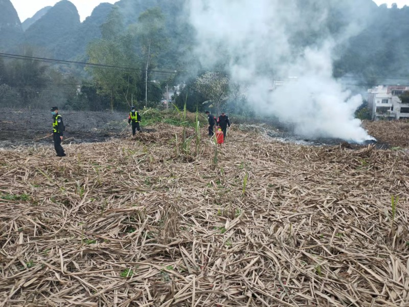 图片 2.png 图片 2.png