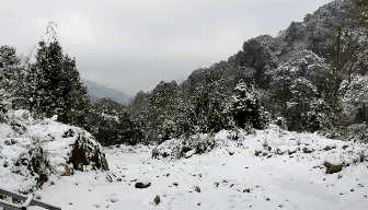 图片 1.png 图片 1.png