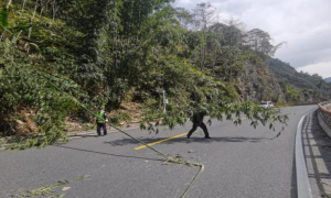 巡逻途中清路障 民警秒变保通员