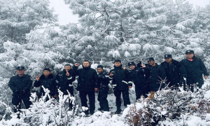 忆登高赏雪