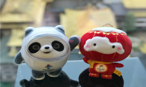 冰墩墩惨遭骗子利用！学生向移民管理警察痛述受骗过程
