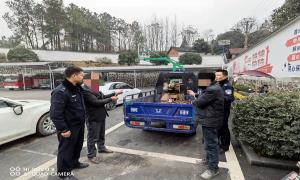 耕田机被盗 松滋警方鏖战三天三夜擒盗窃嫌犯