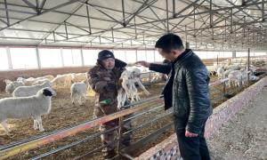 产业接地气 振兴有底气