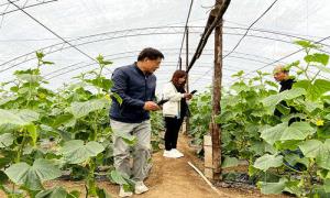 为农产品质量安全插上“智慧化监管的翅膀”