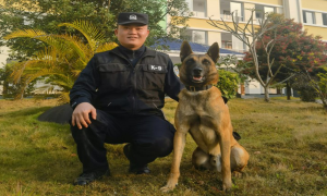新警司马昭和警犬“朝歌”