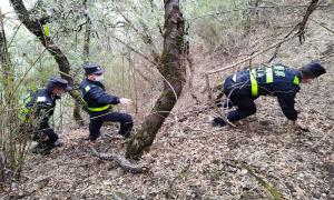 游客为寻无人机被困悬崖 移民管理警察紧急救援