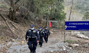 常态化边境巡逻防控织密疫情防护网