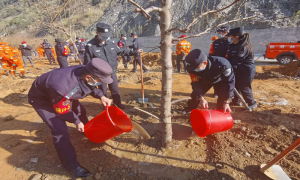 身着“藏青蓝” 共植“生命绿”